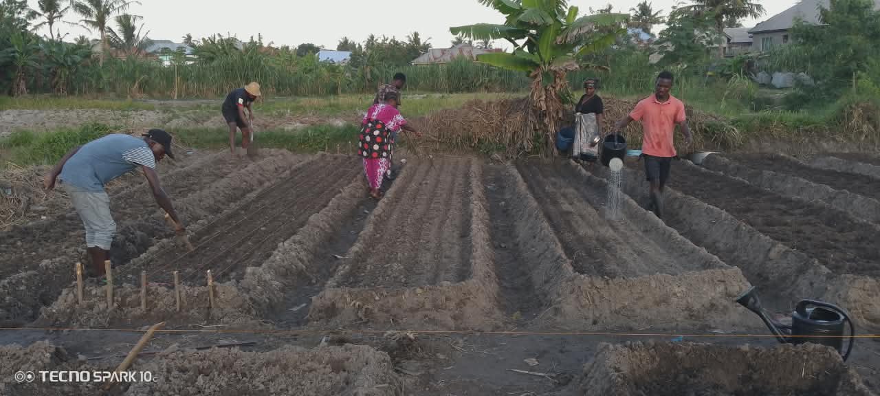 Community Garden at Majohe 2