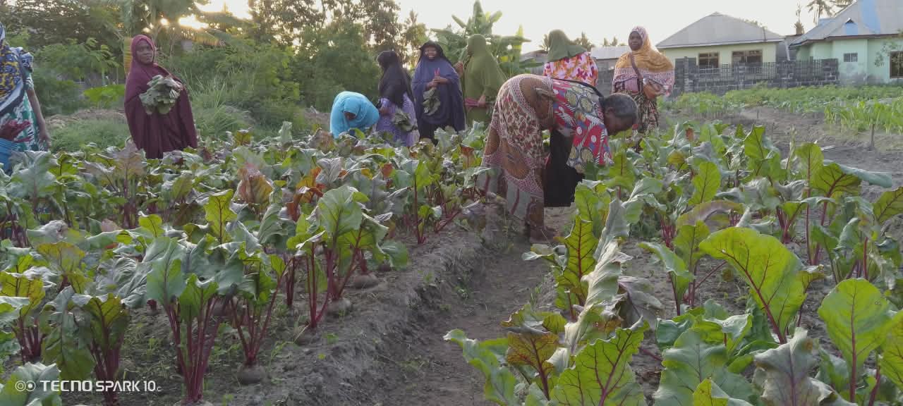 Community Garden at Majohe 4