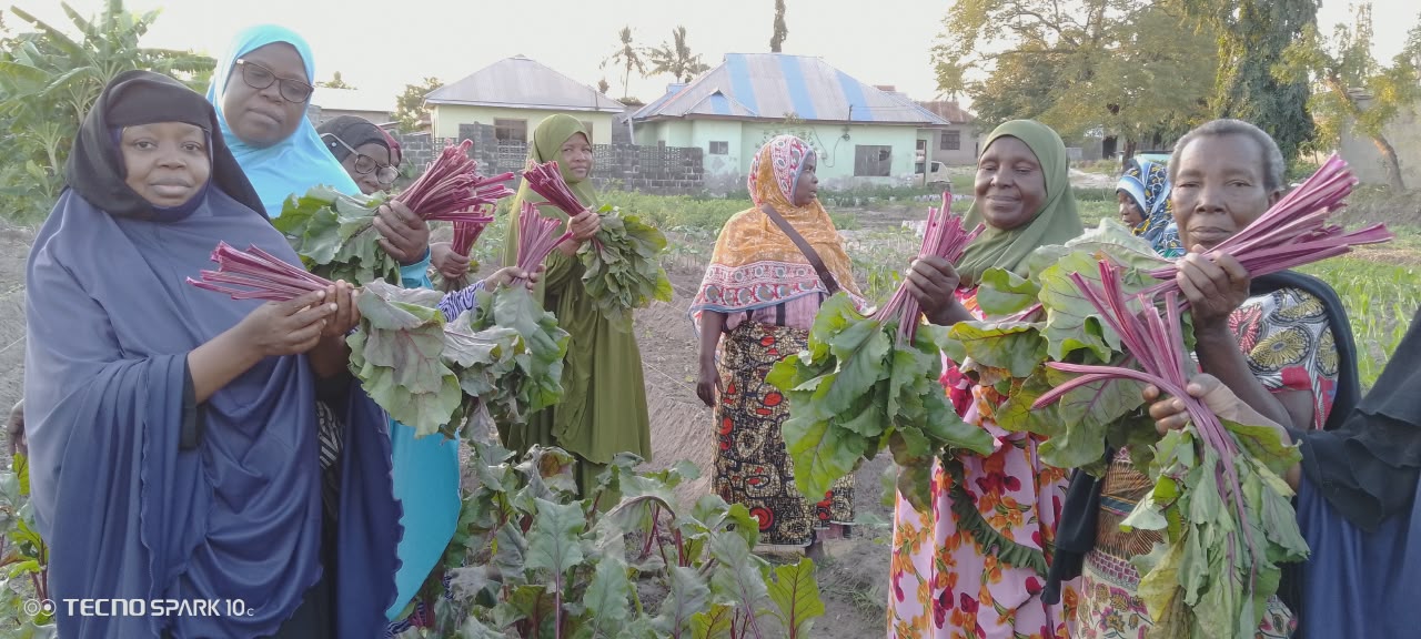 Community Garden at Majohe 5